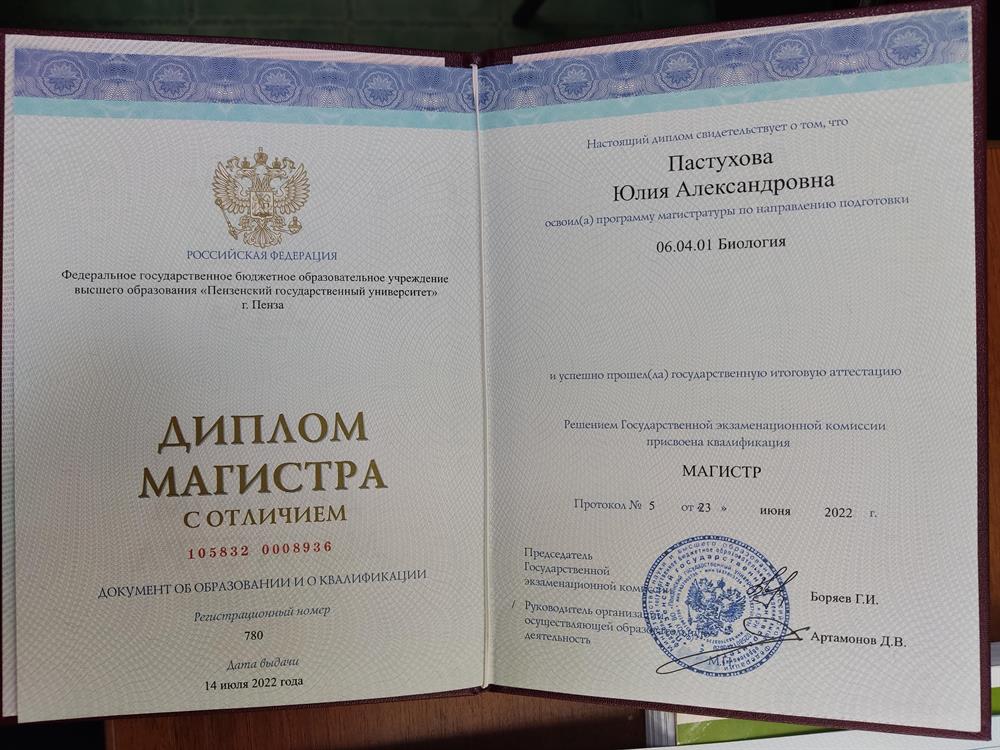 Диплом о высшем образовании 