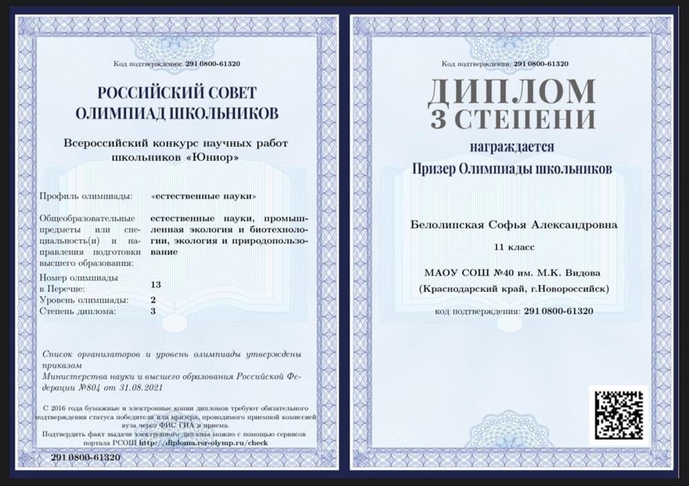 Призер Всероссийской олимпиады «Юниор»