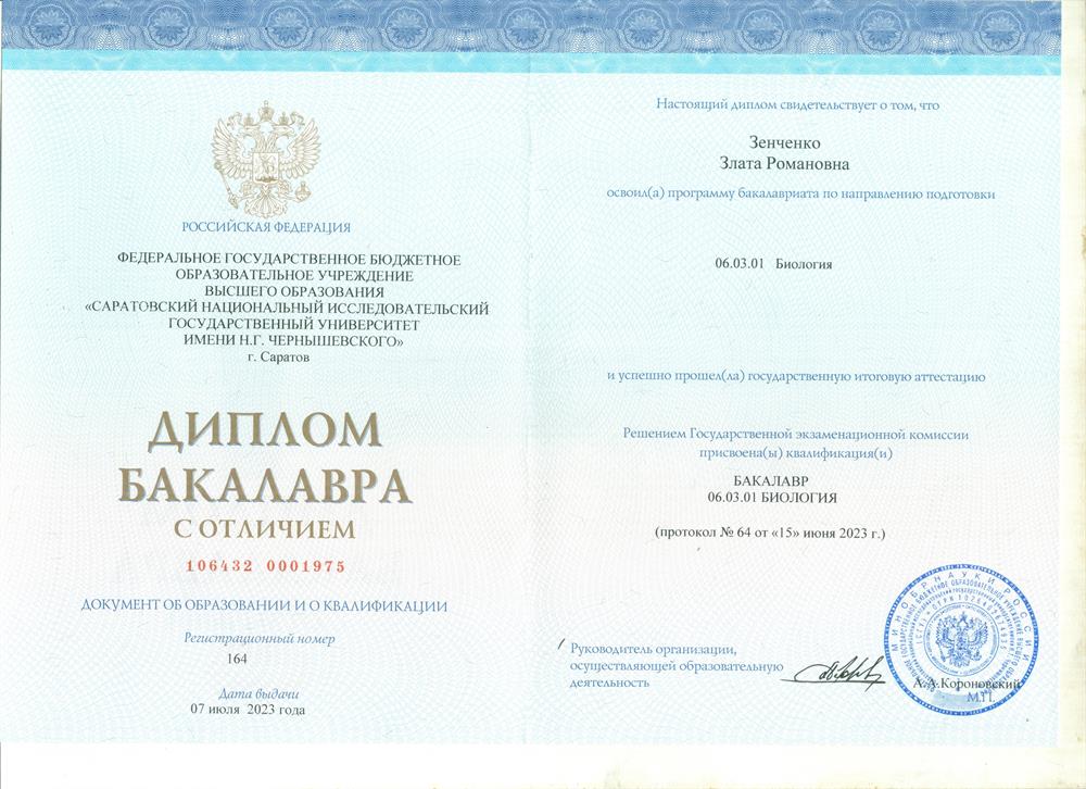 Диплом бакалавра