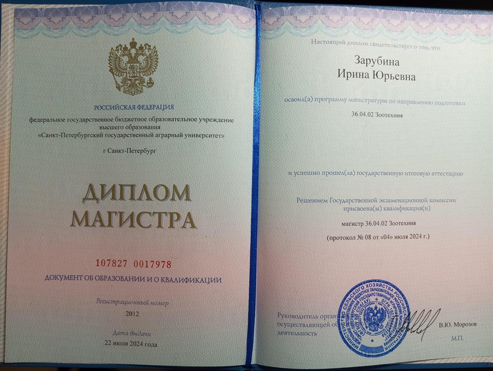 Диплом магистра