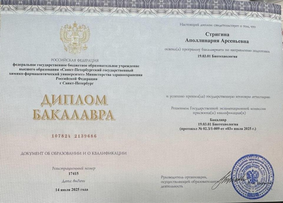Диплом бакалавра 