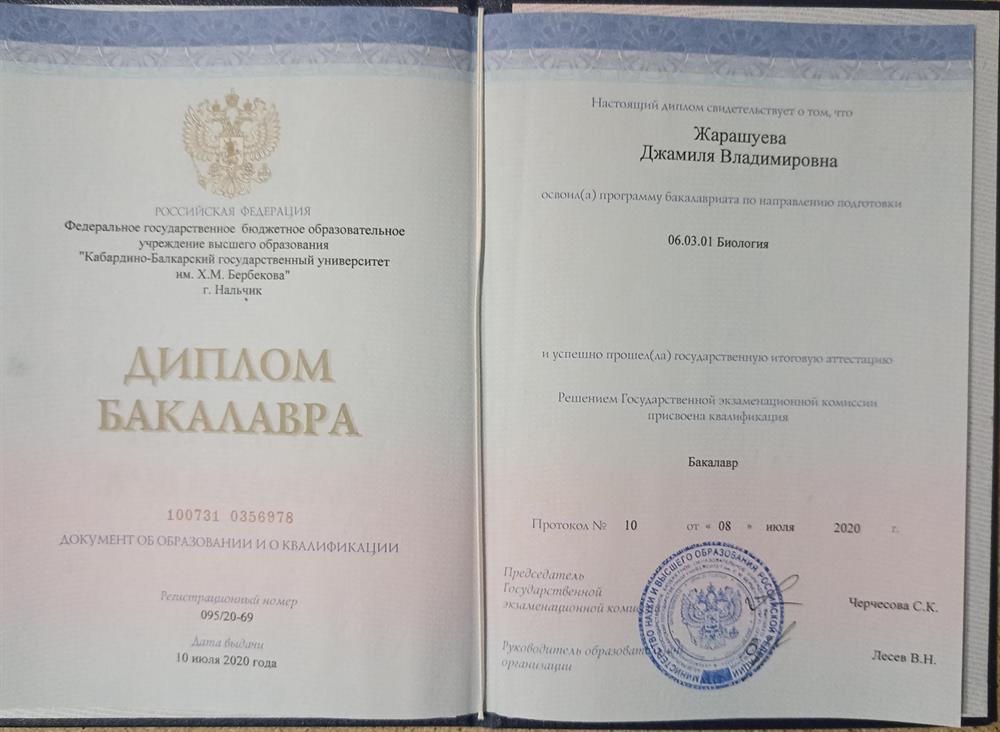 Диплом бакалавра