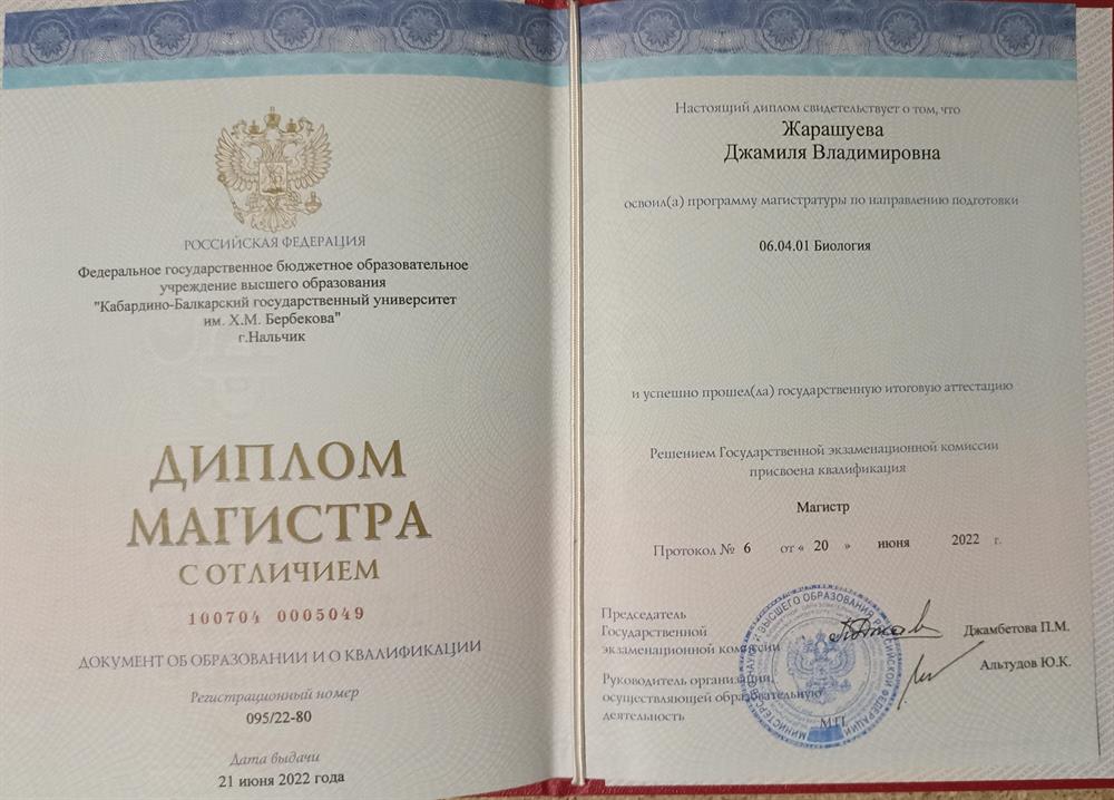 Диплом магистра