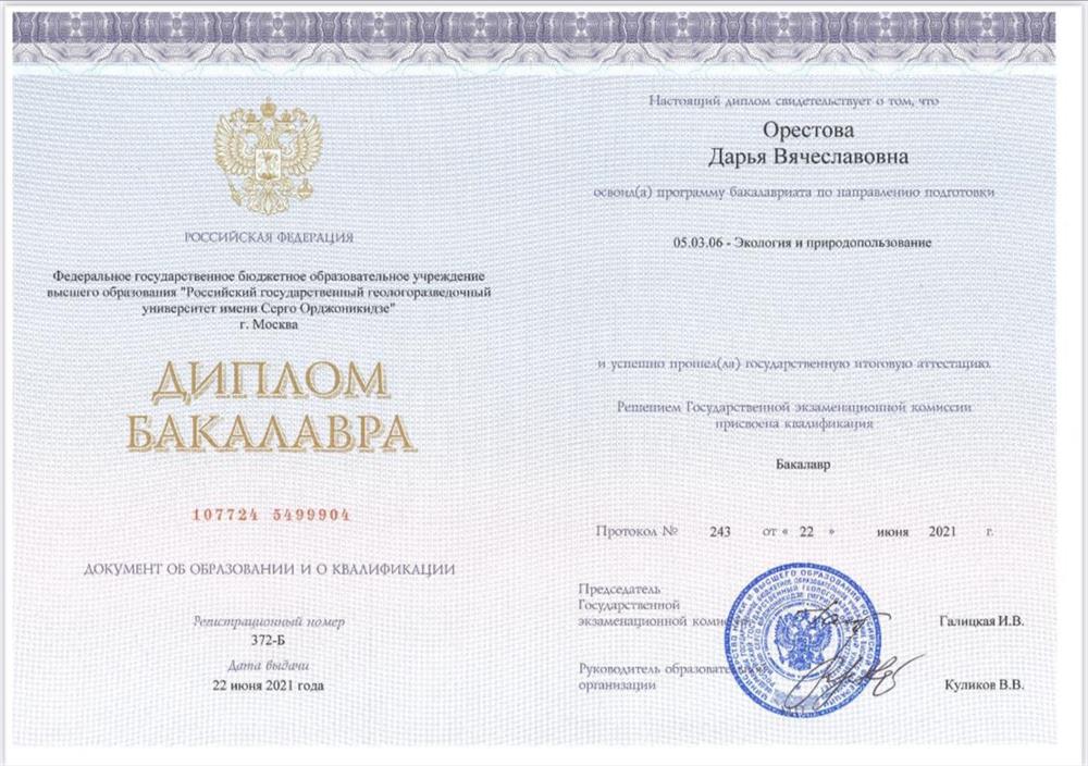 Диплом бакалавра 