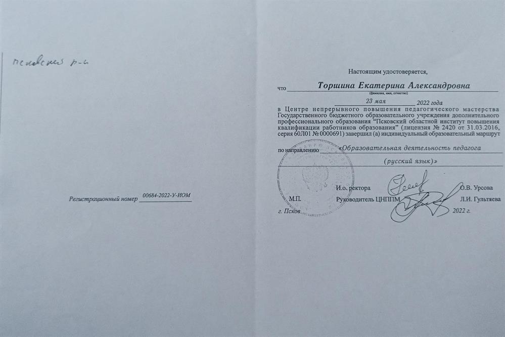 Индивидуальный образовательный маршрут, "Образовательная деятельность педагога (русский язык) 