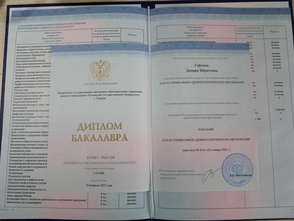 Диплом о получении специального (дефектологического) образования 