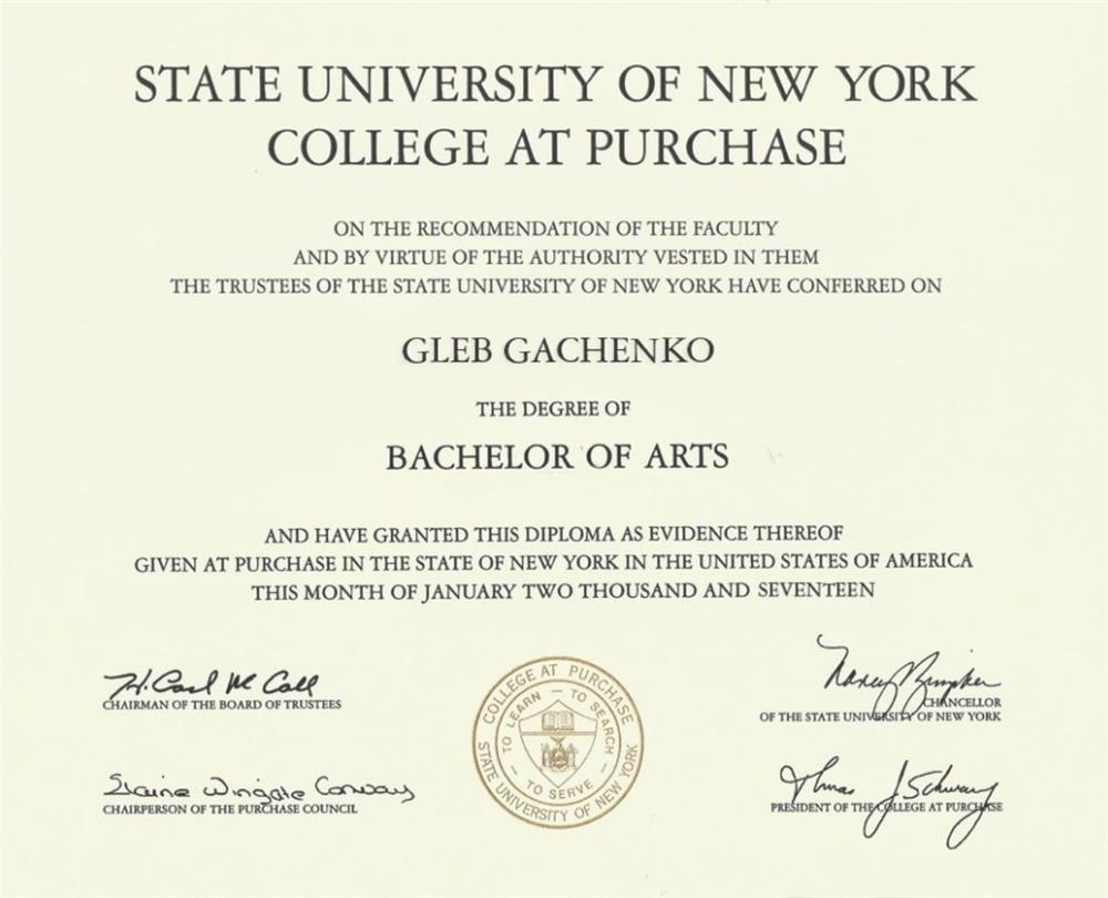 BFA diploma