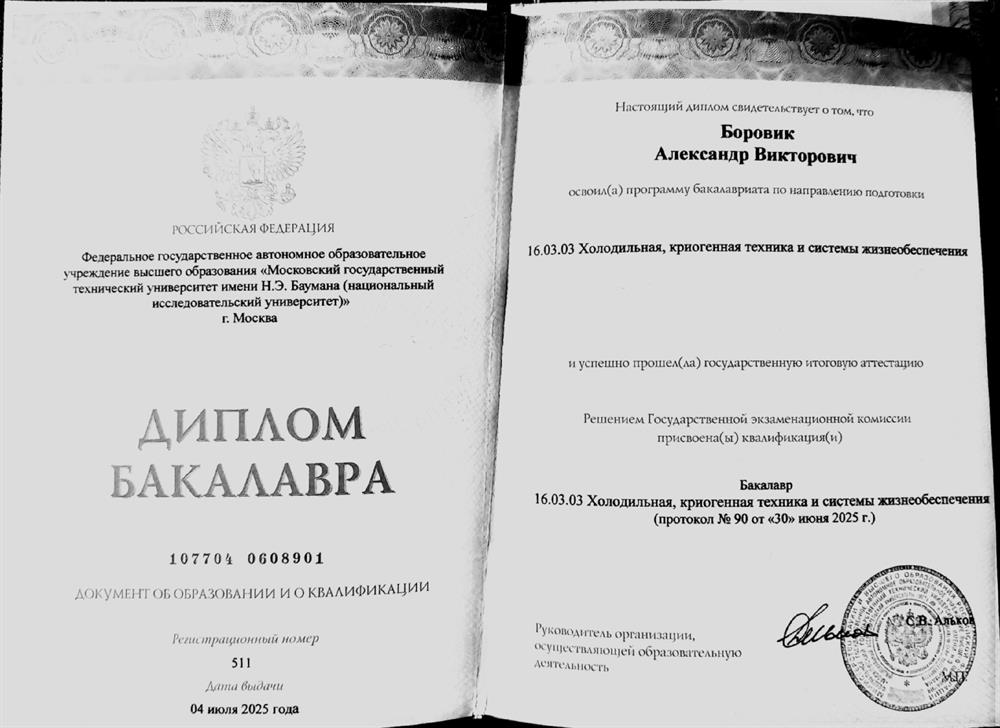 Диплом о высшем образовании уровня бакалавриата