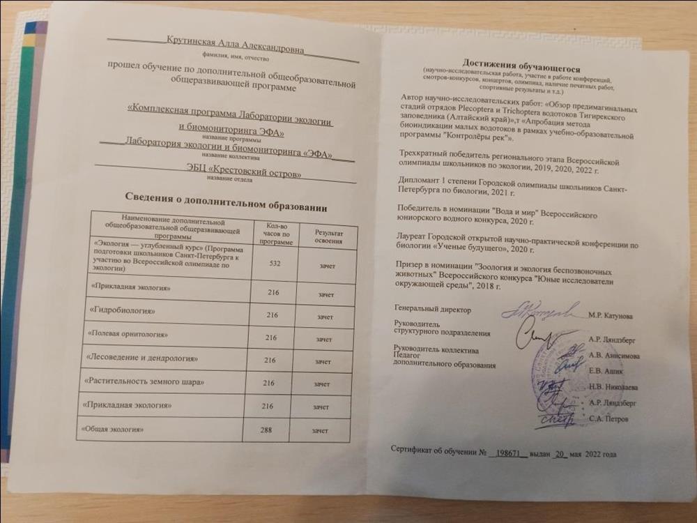 Основные достижения и навыки