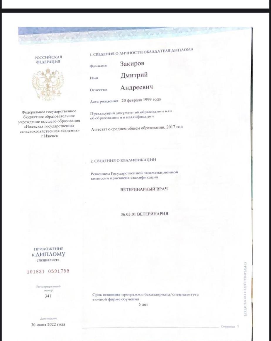 Диплом о высшем образовании