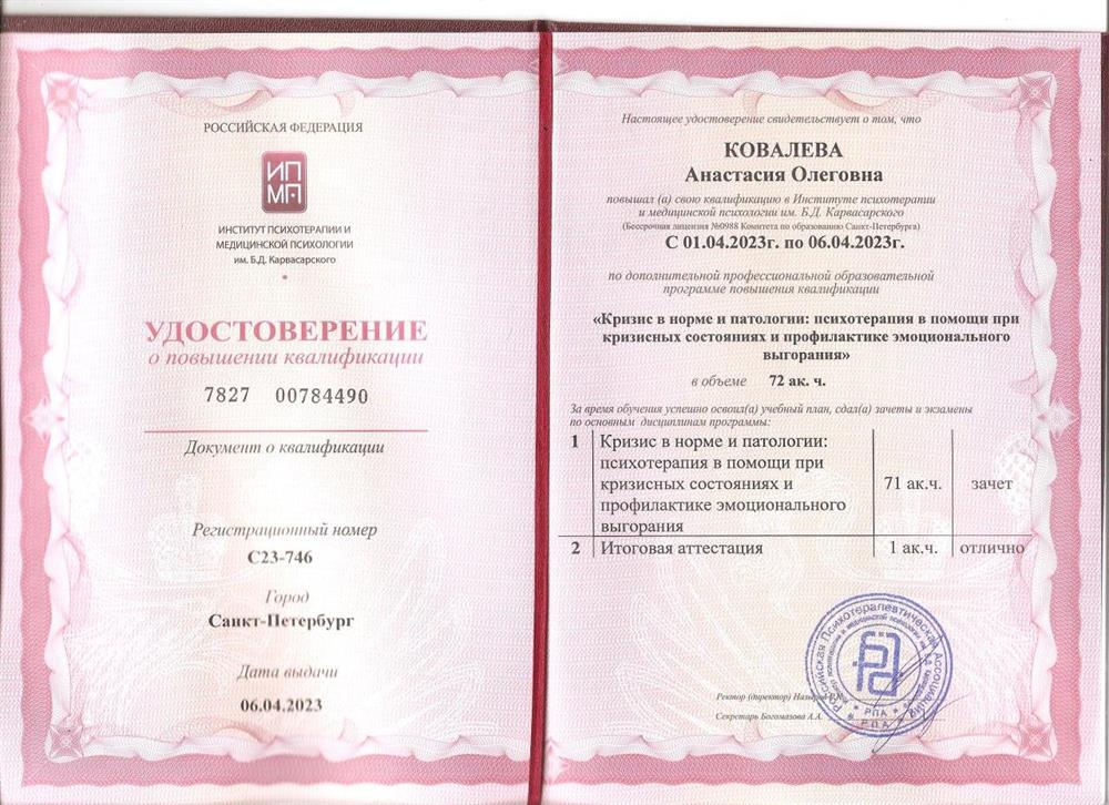 Кризис в норме и патологии: психотерапия в помощи при кризисных состояниях и профилактике эмоционального выгорания