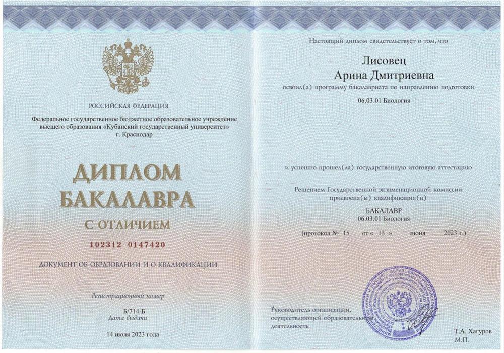 Диплом бакалавра с отличием КУБГУ