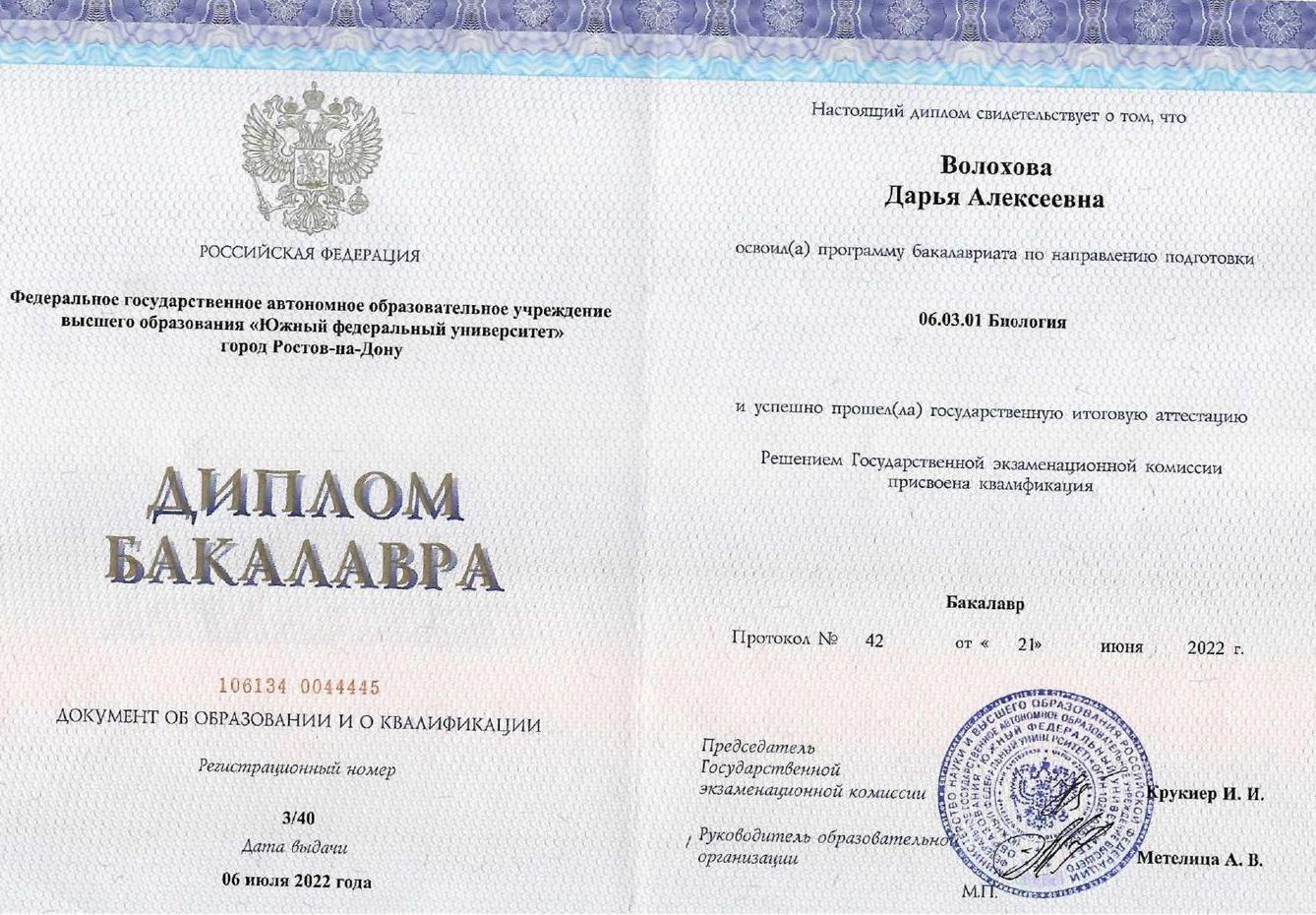 Диплом бакалавра Волозовой Д.А.