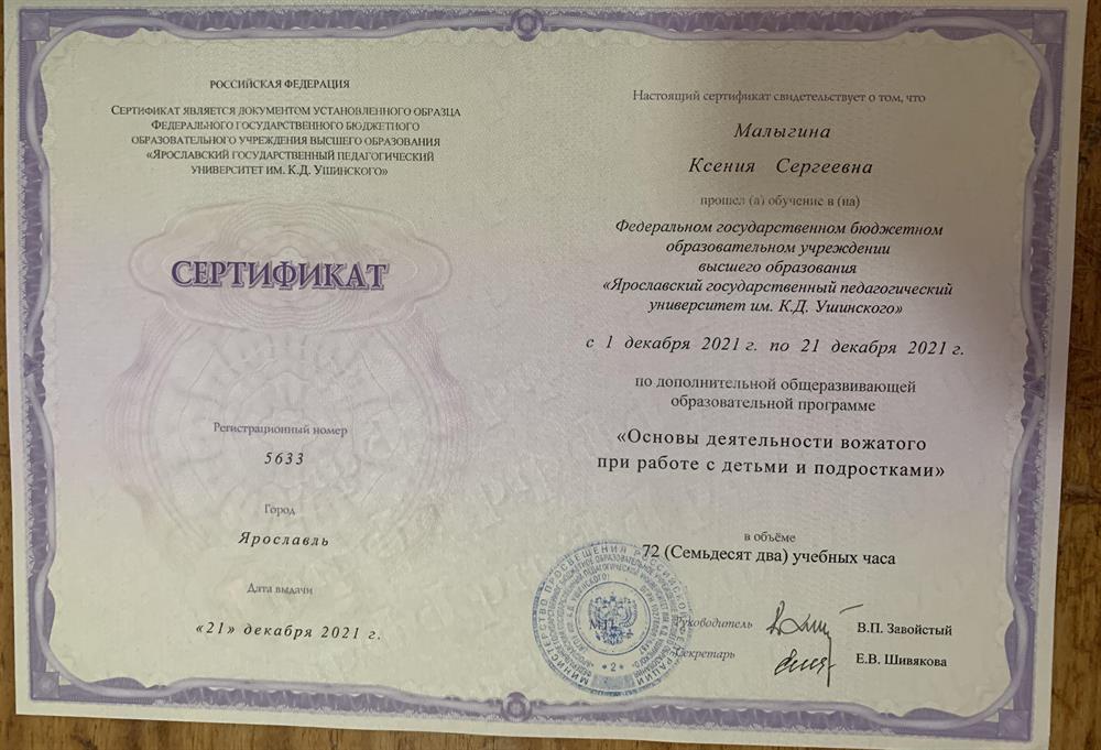 Сертификат вожатого 