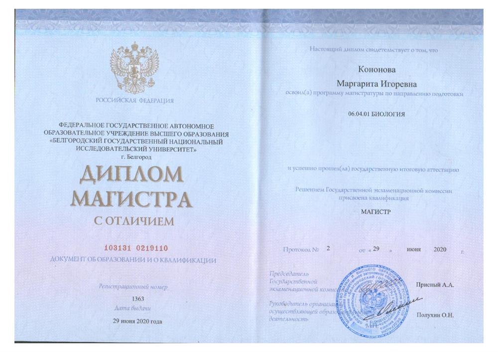 Диплом магистра