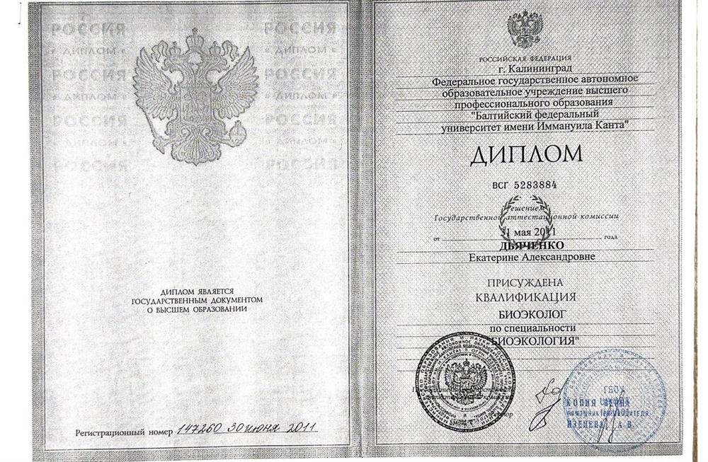 Диплом специалиста