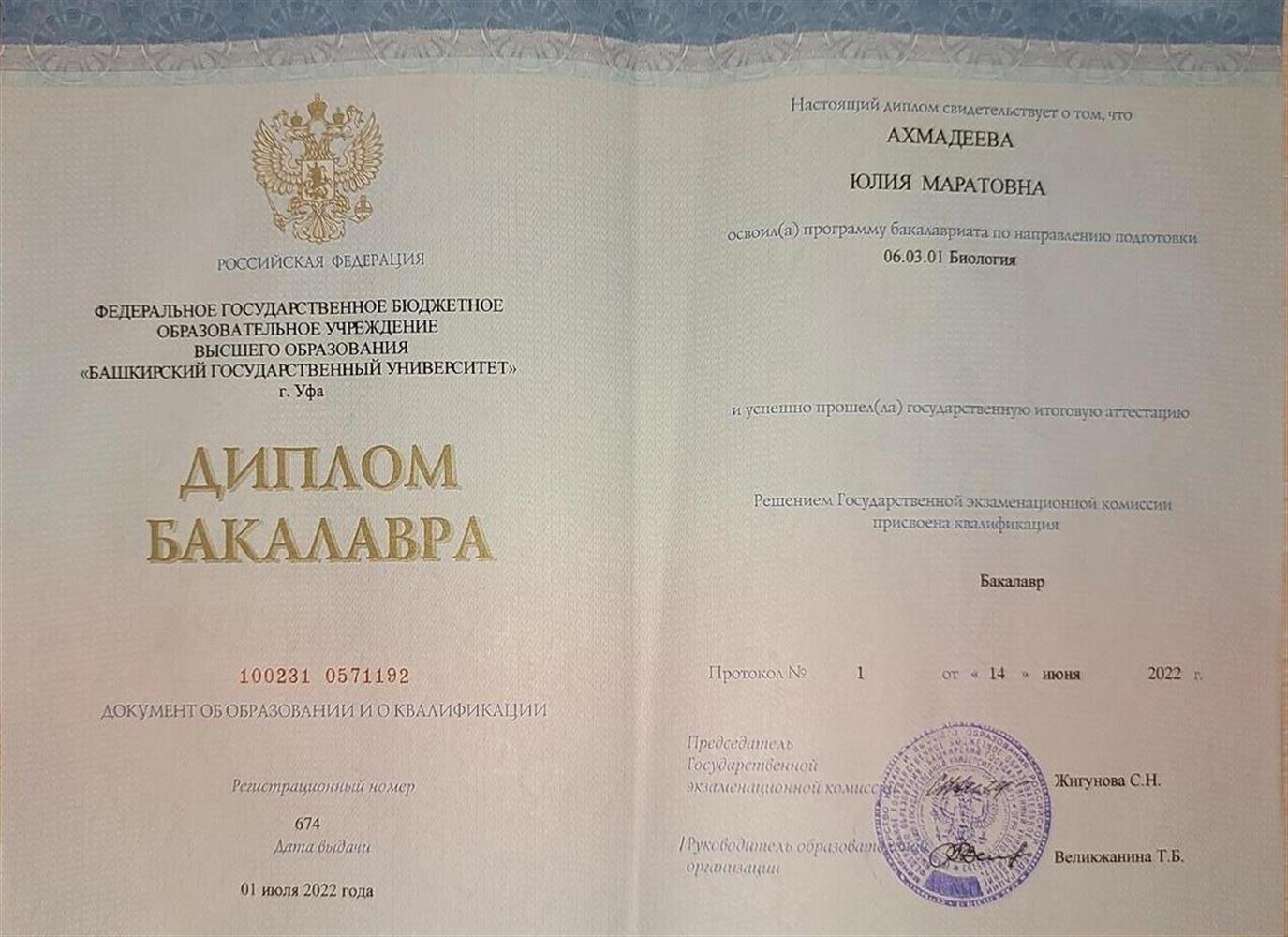 Диплом бакалавра