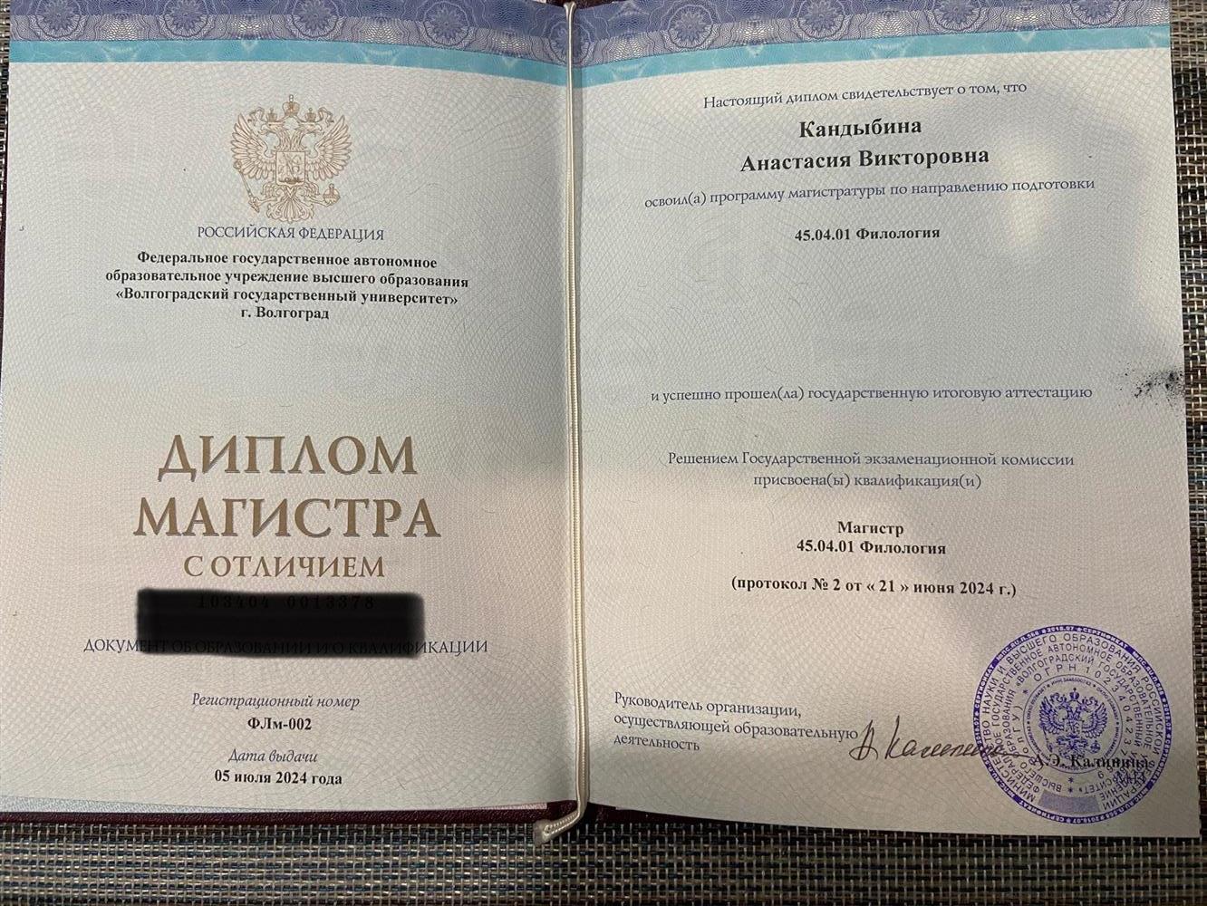 Диплом магистратура