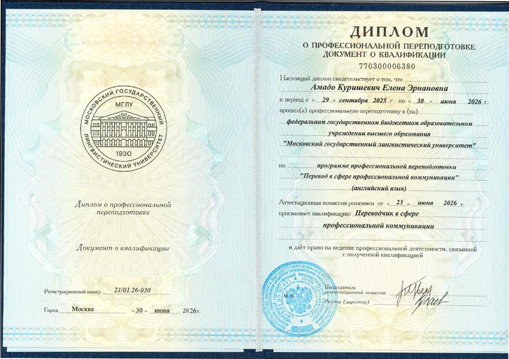 Перевод в сфере профессиональной коммуникации (английский язык)