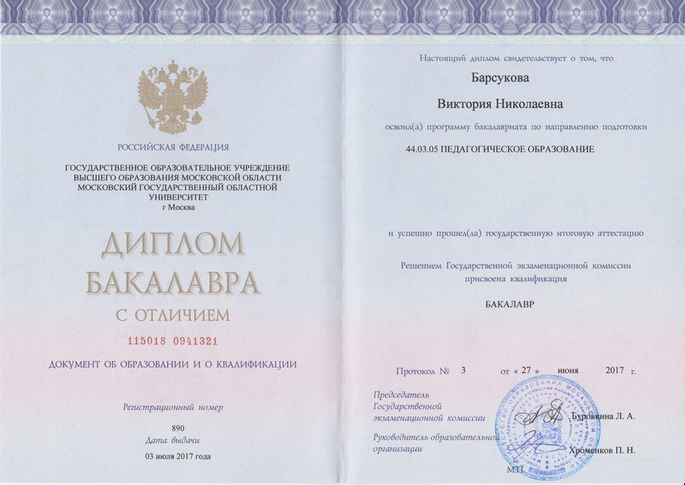 Диплом бакалавра (изобразительное искусство)