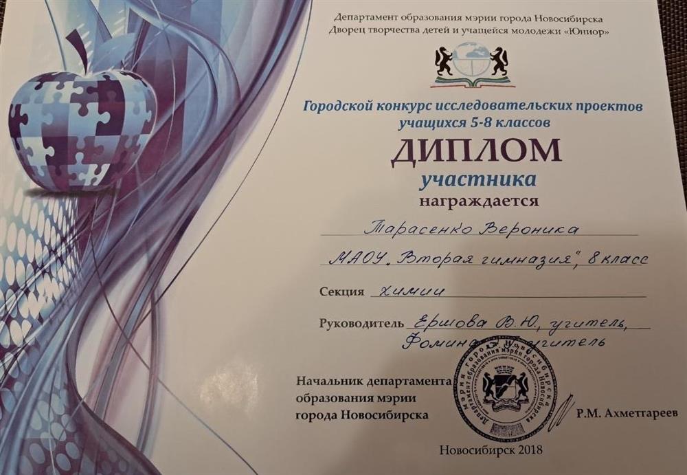 Диплом участника в городском конкурсе исследовательсих проектов, 2018 г. 