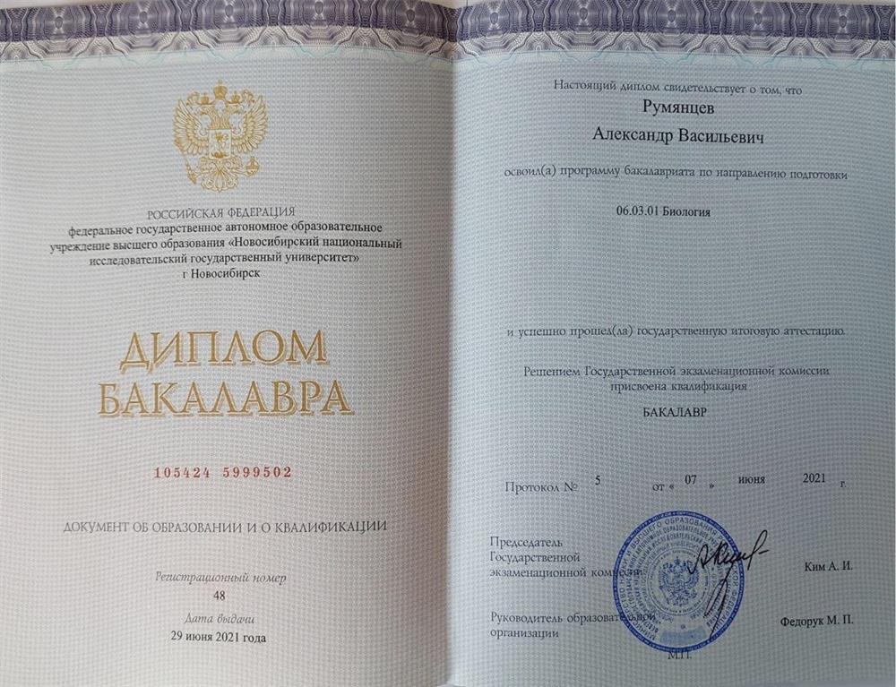 Диплом бакалавра