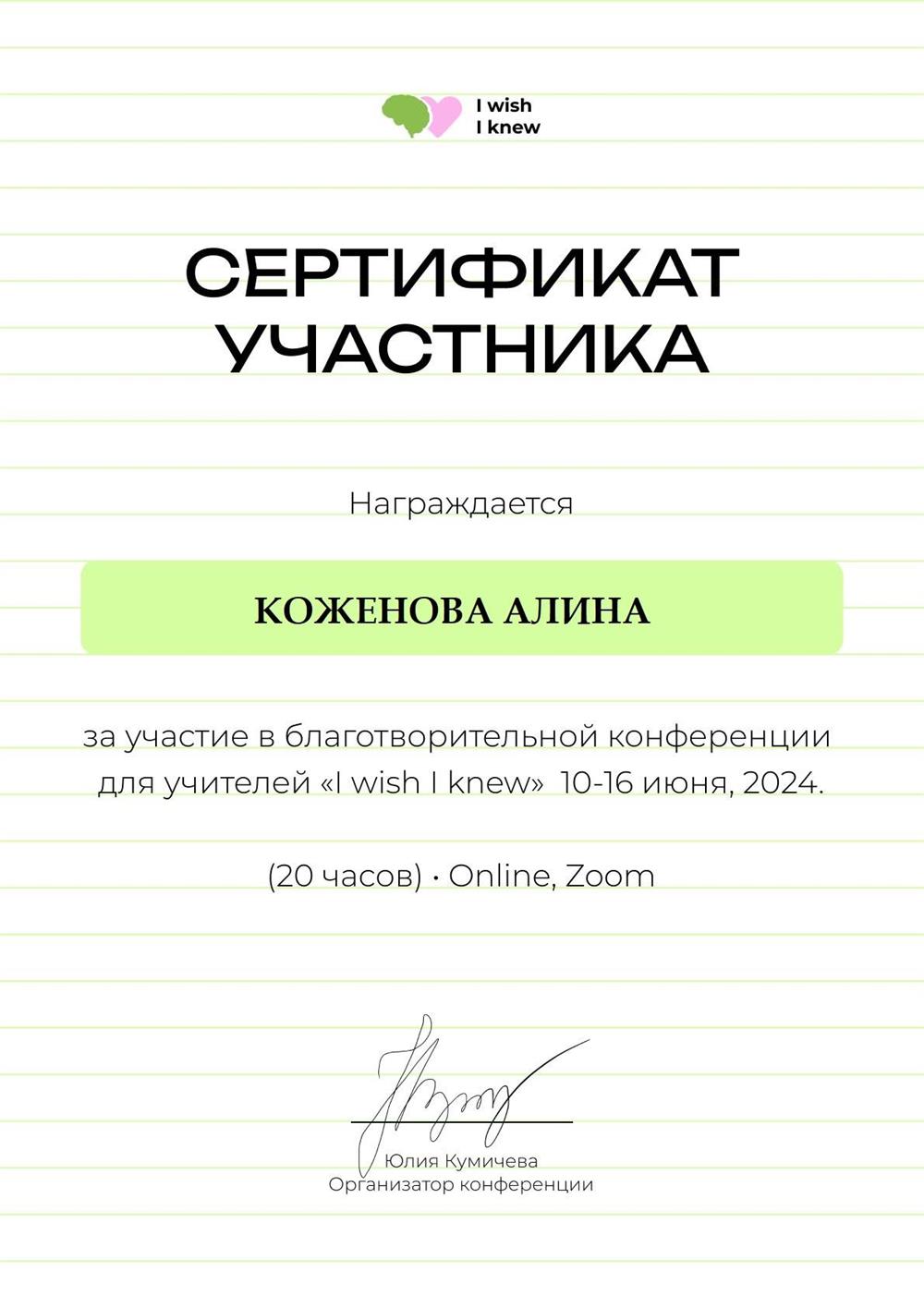 Сертификат участника благотворительной конференции для учителей IWIK