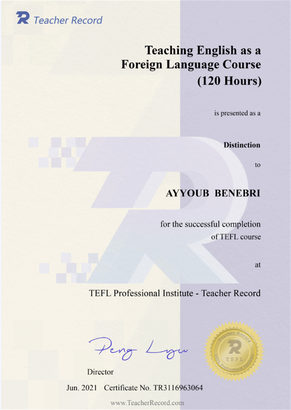 TEFL Certificate