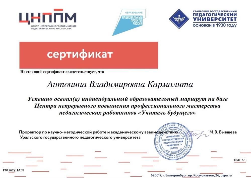 Сертификат 4