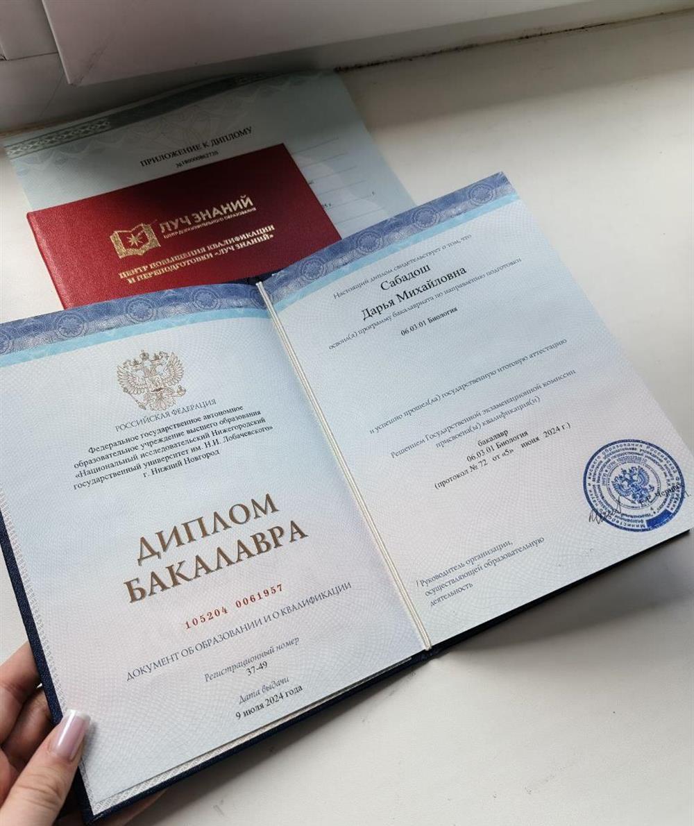 Диплом бакалавра 