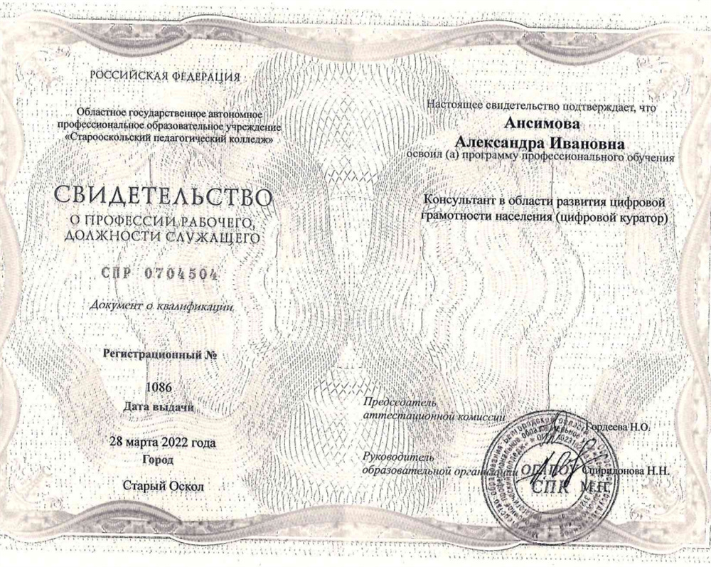 Свидетельство (Обучение цифровой грамотности).