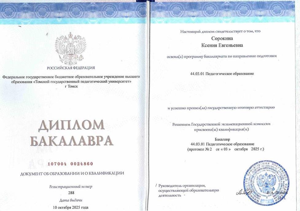 Диплом бакалавра 