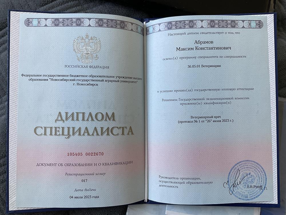 Диплом специалиста