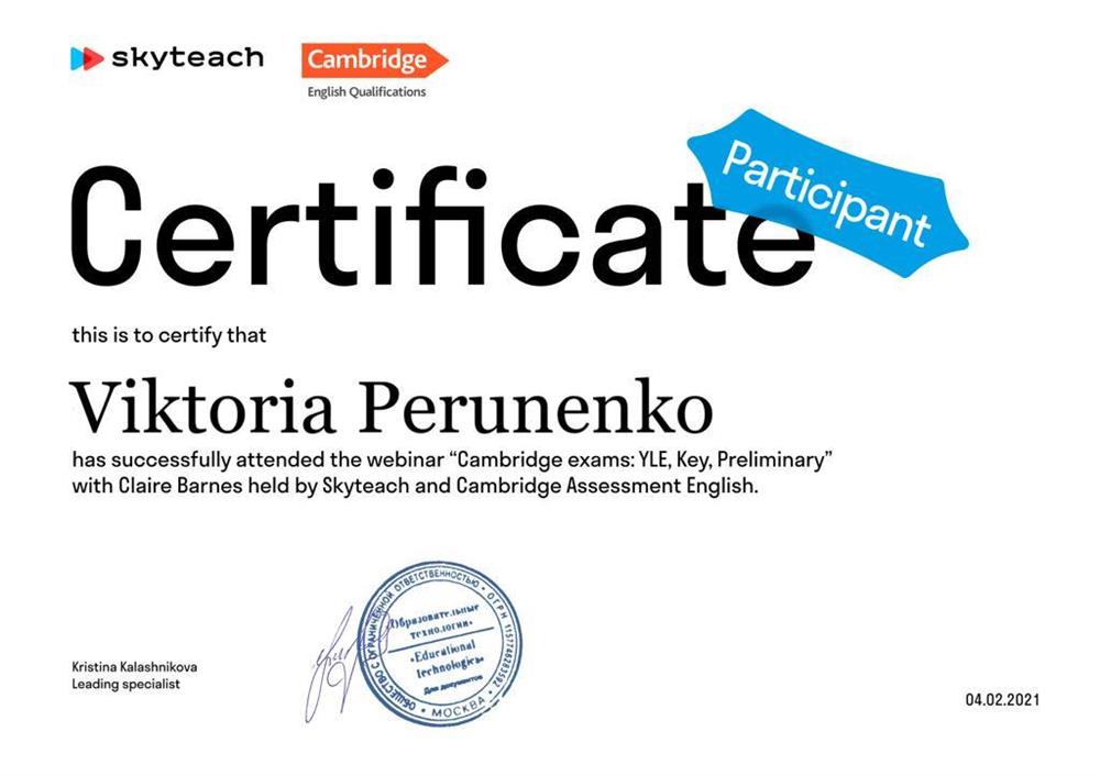 Сертификат (Skyteach Cambridge certificate)
