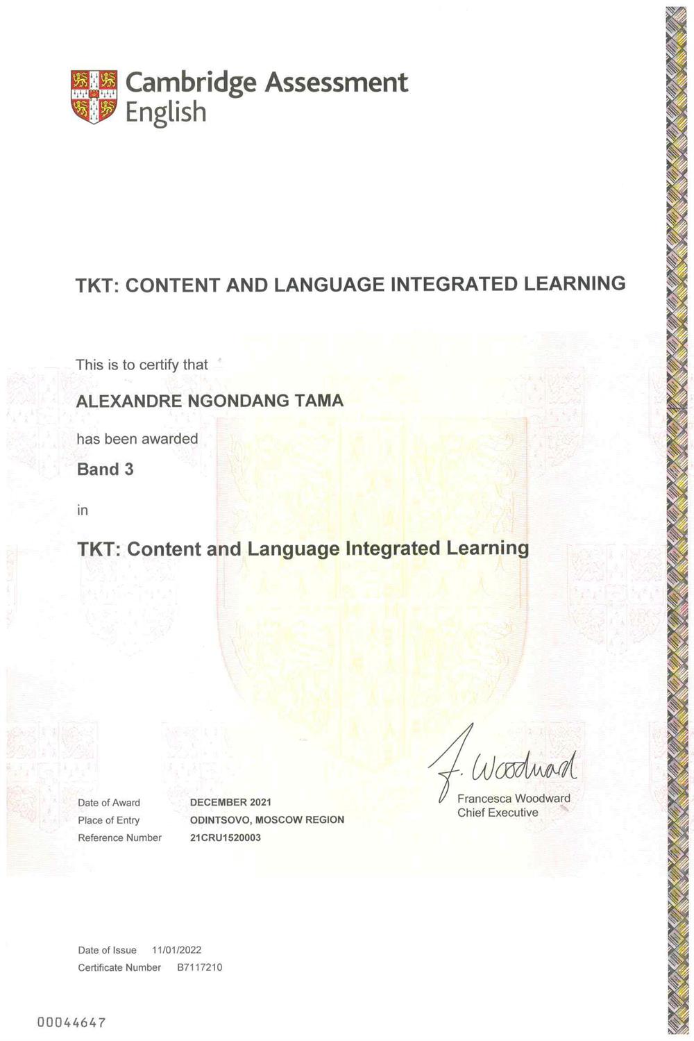 Content and Language Intergrated Learning