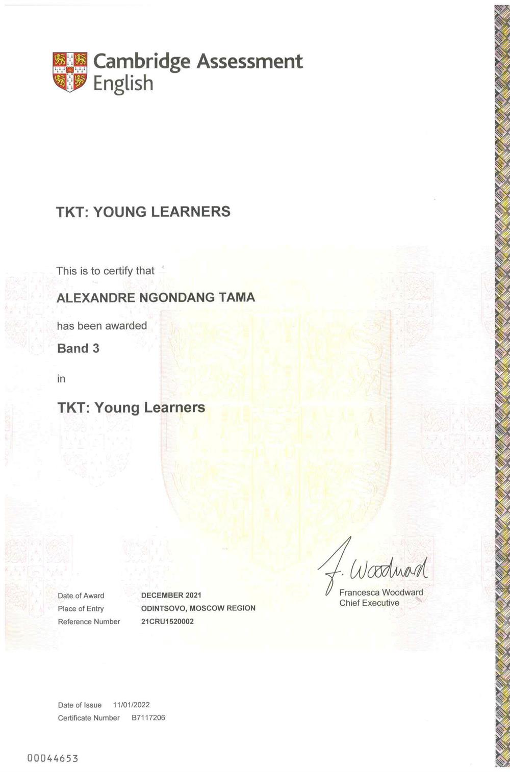 Teaching Young Learners