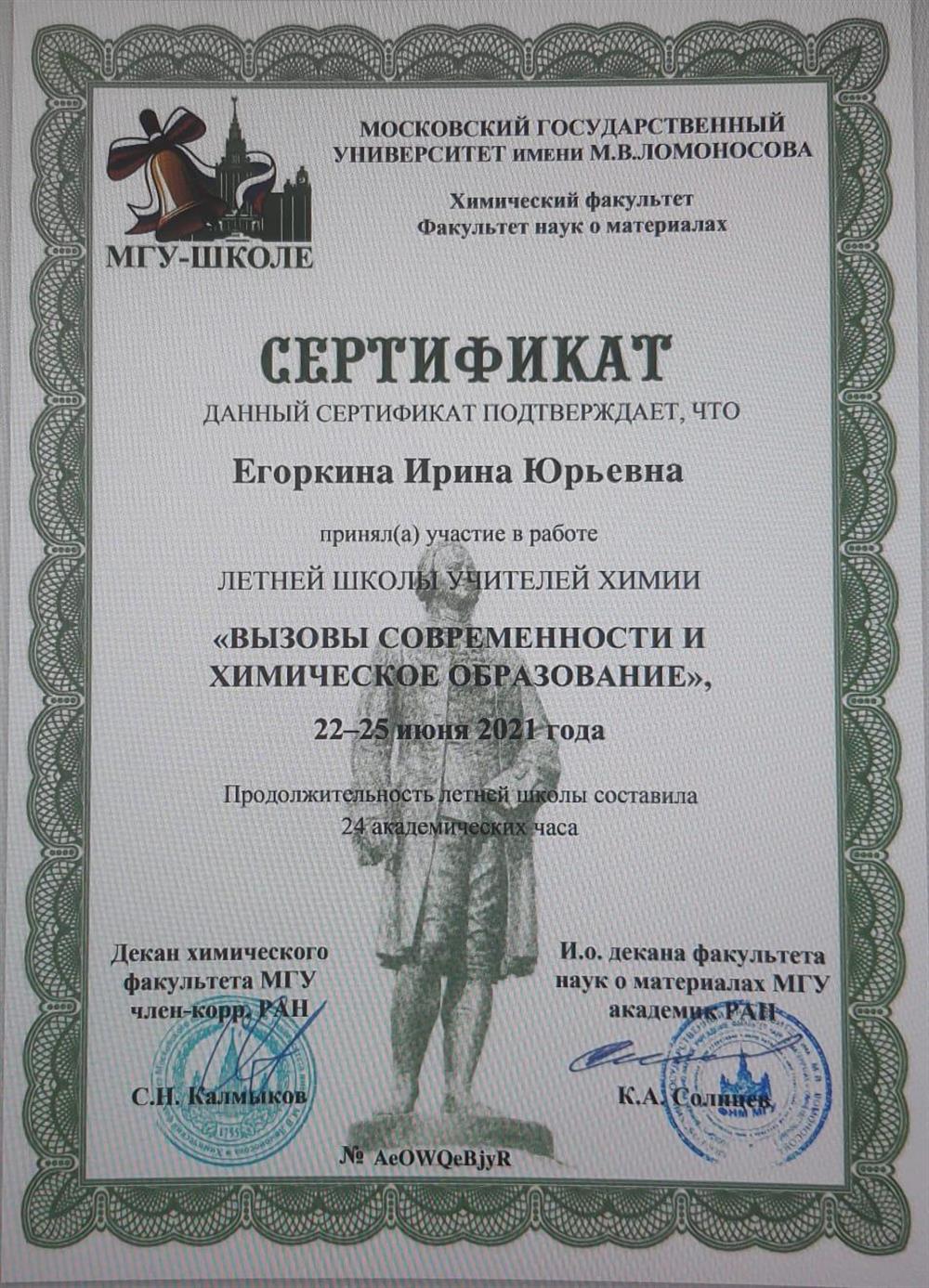 Сертификат Школа учителей химии