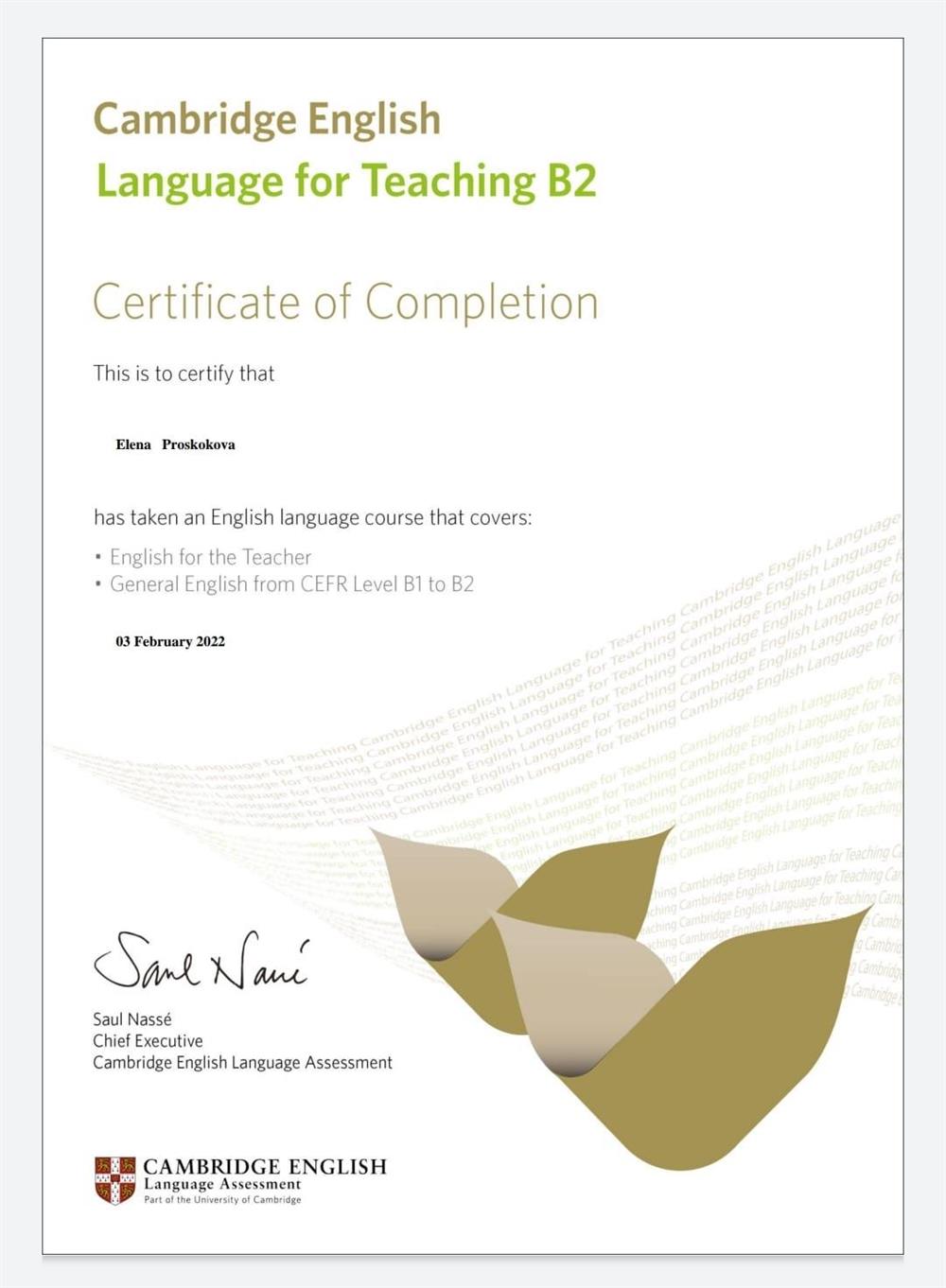 Сертификат. Language for teaching B2 Cambridge English 