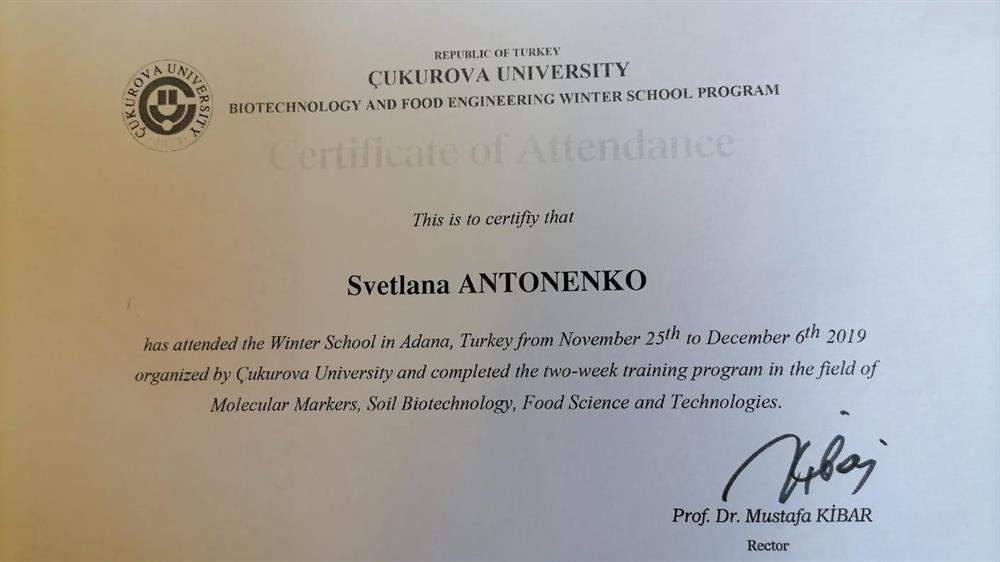 Сертификат о прохождении обучения в cukurova university