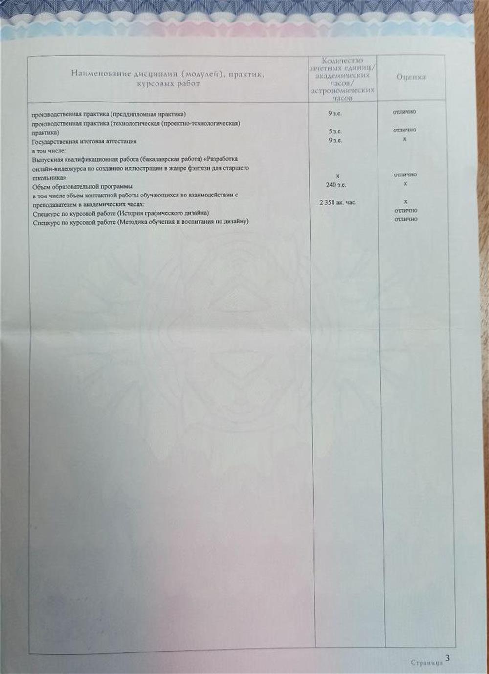 Диплом о высшем образовании (приложение 2)