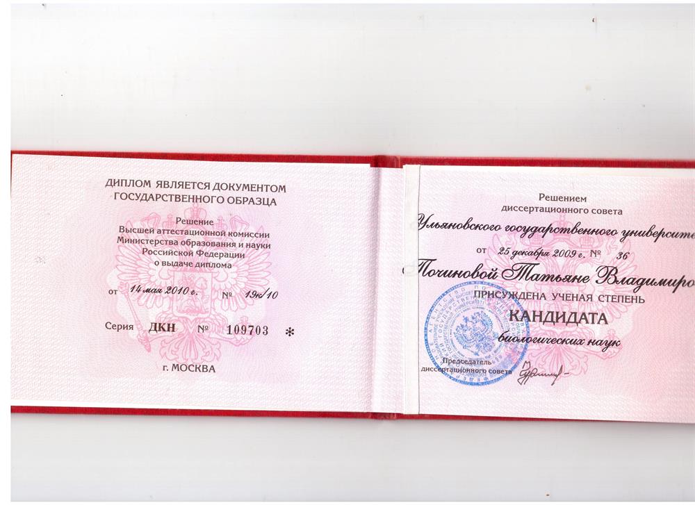 диплом кандидата наук