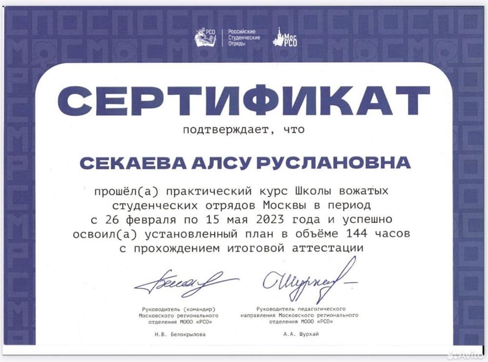 Сертификат должности Вожатого