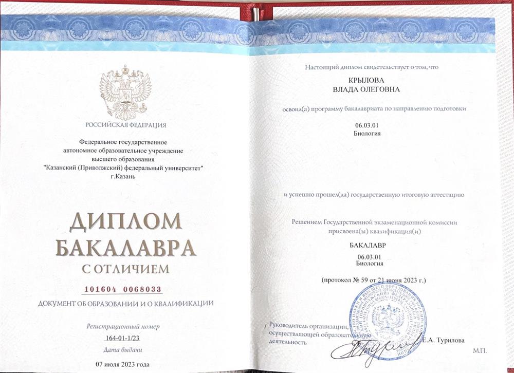 Диплом бакалавра с отличием