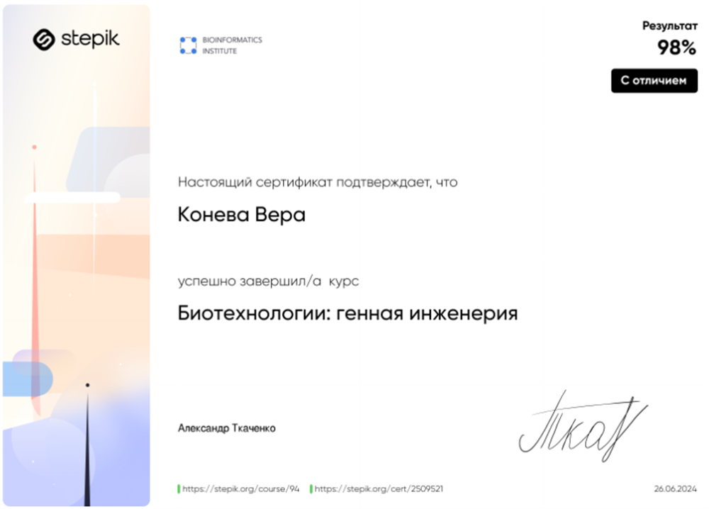 Сертификат о прохождении дополнительного курса