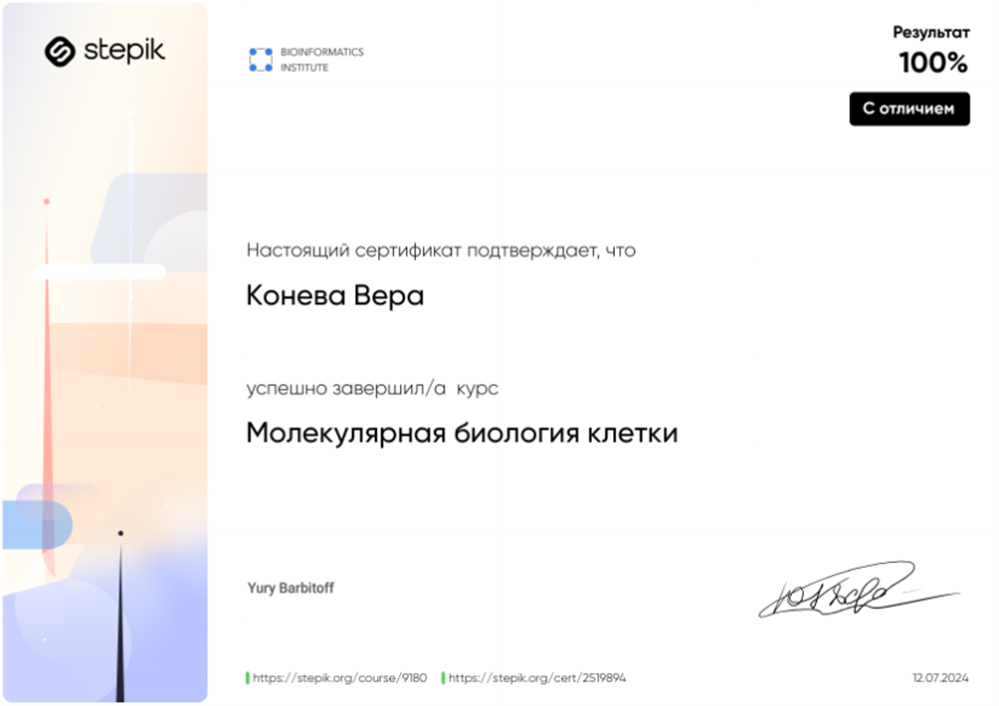 Сертификат  о прохождении дополнительных курсов
