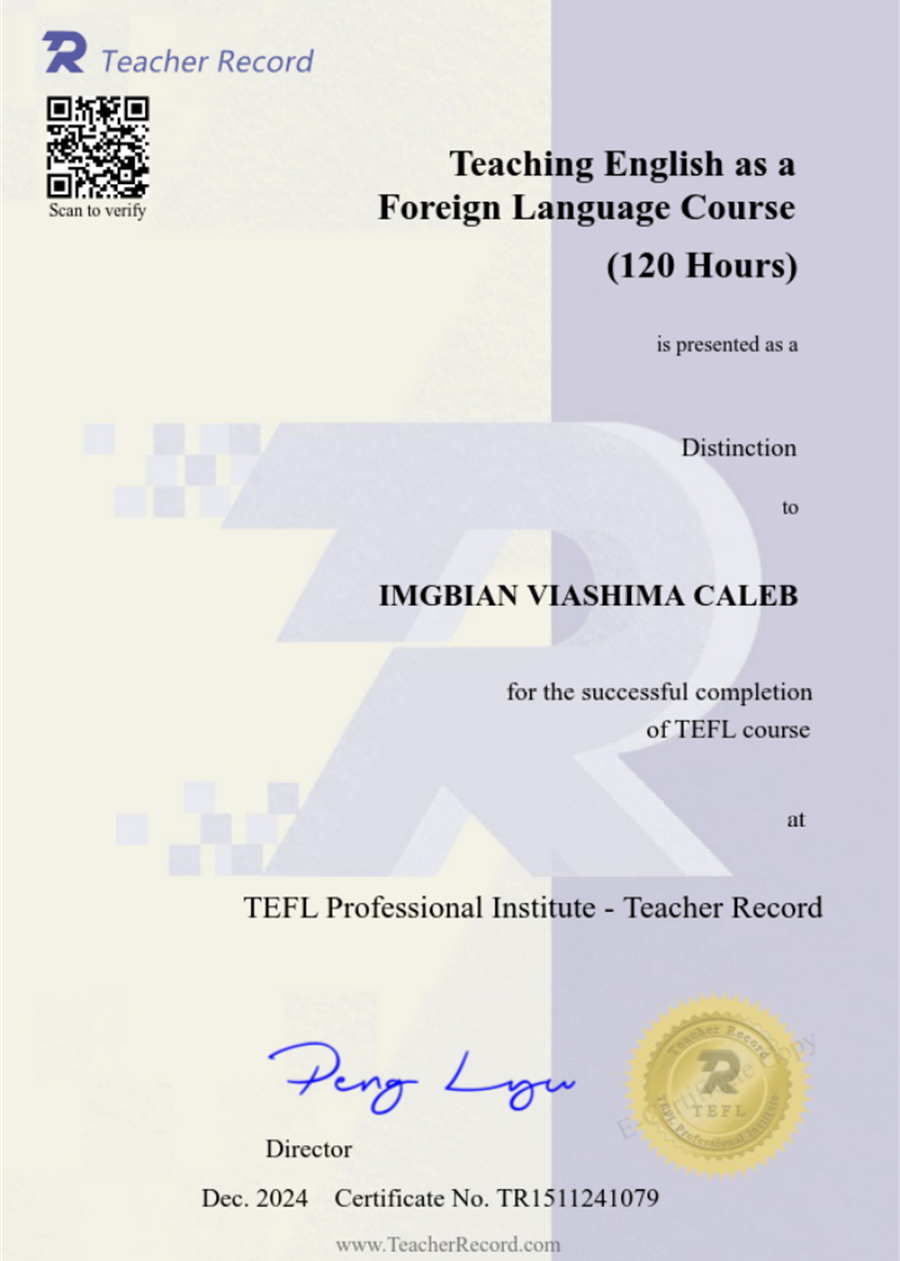 Сертификат. TEFL Professional Institute.