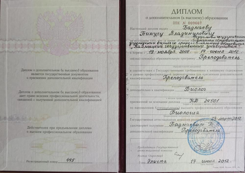 Диплом дополнительный