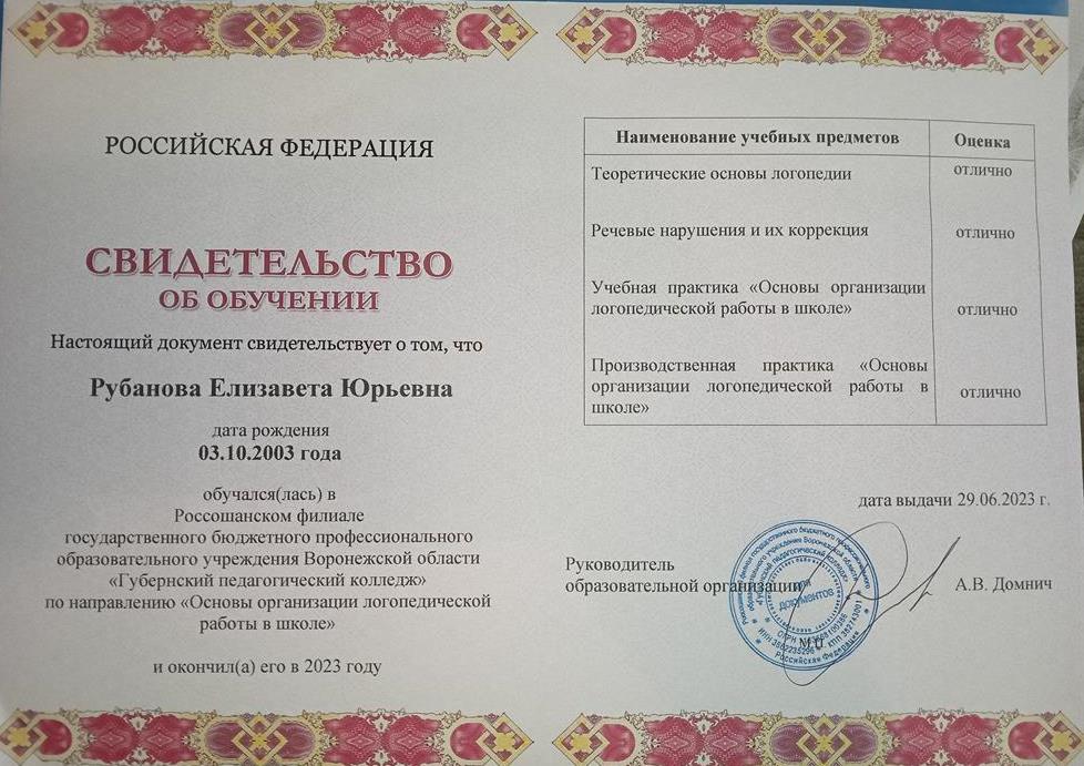 Свидетельство об обучении по направлению "Основы организации логопедической работы в школе"