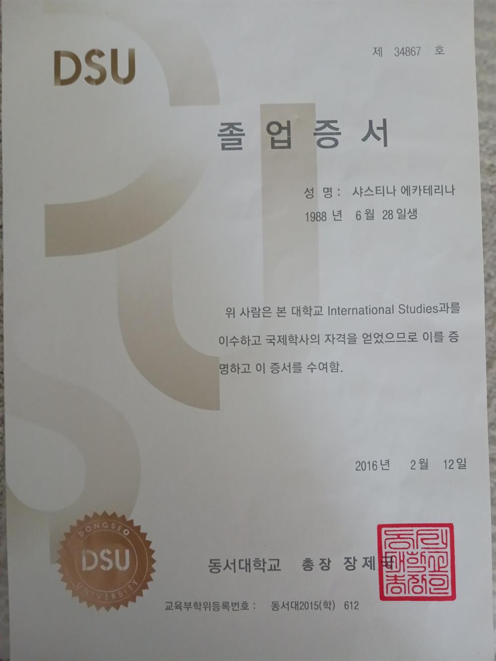 Диплом International Studies, Южная Корея