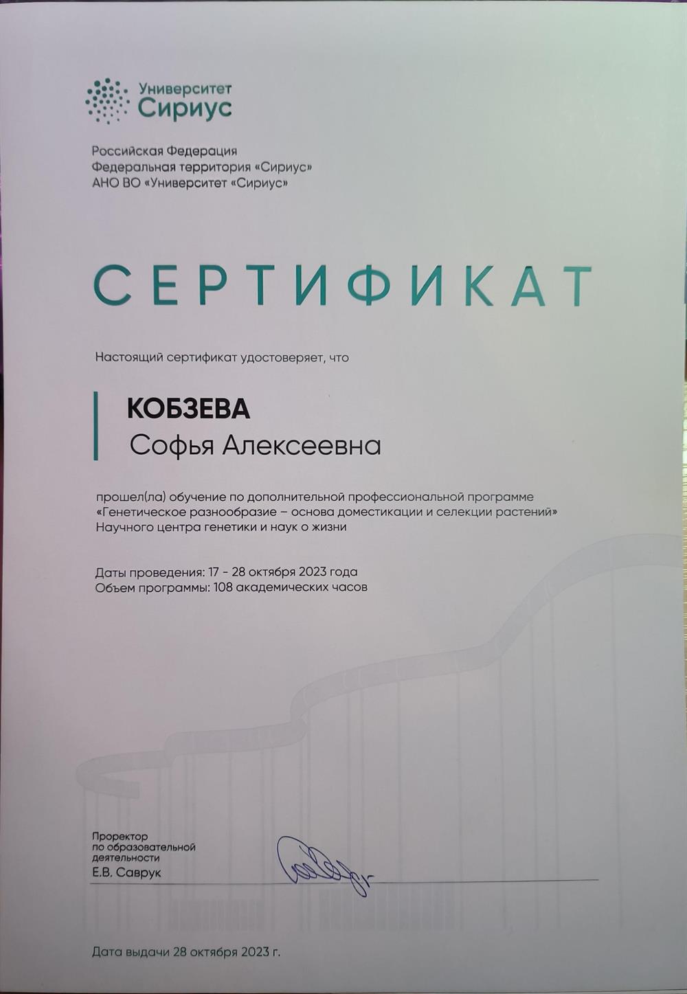Сертификат о прохождении обучения